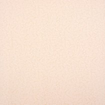 Штукатурка Крем фон 1,06х10м. Обои винил под покраску на флизелине VILIA (9)
